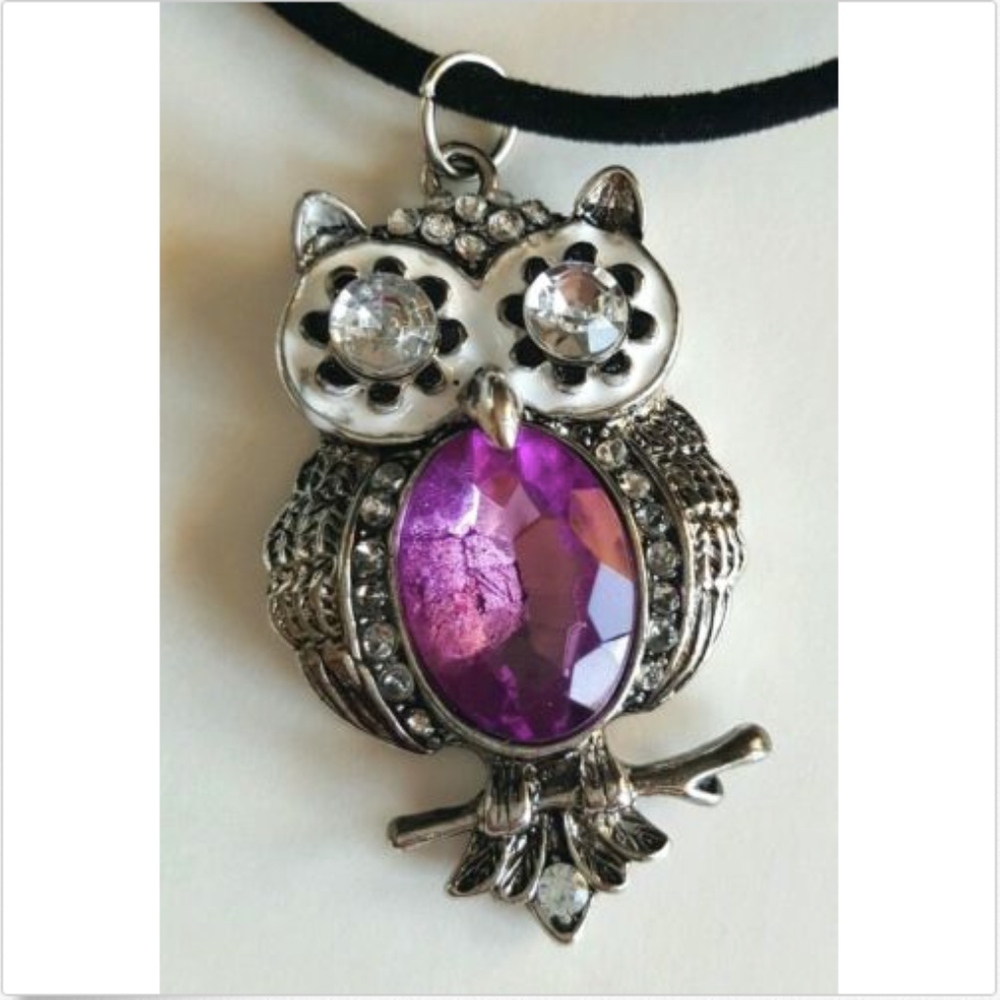 Owl Pendant Necklace Black Cord Silver Purple Tone 18"  Fall  *